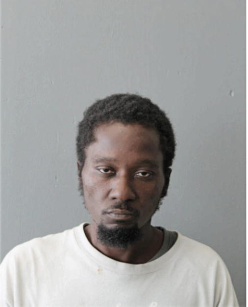JAMES L ROBINSON, Cook County, Illinois