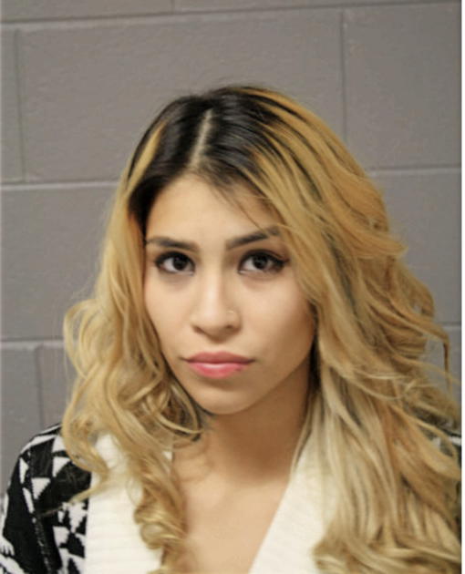 FRANCESCA B RODRIGUEZ, Cook County, Illinois