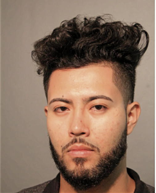BRYAN RODRIGUEZ-ROLDAN, Cook County, Illinois