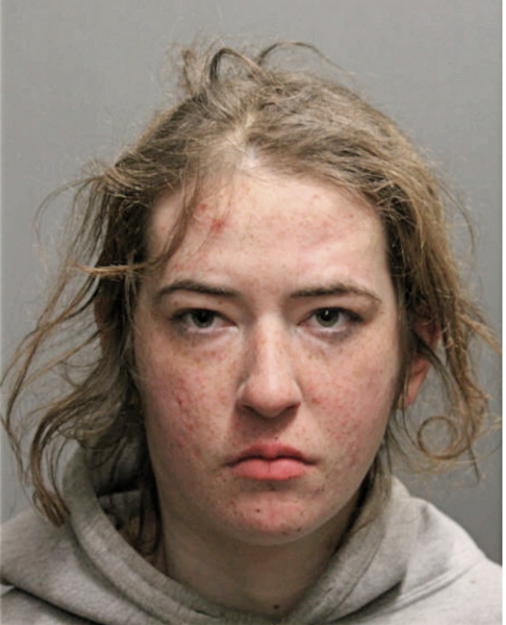 NINA ROSENBERG, Cook County, Illinois