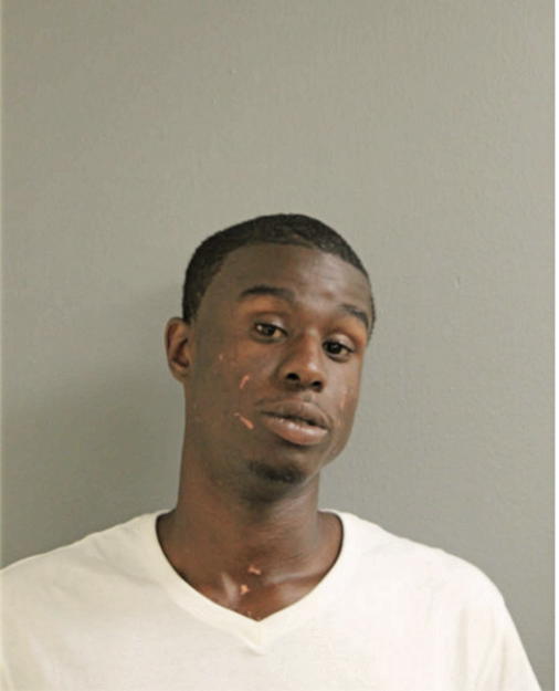JAMES R SHINAUL, Cook County, Illinois
