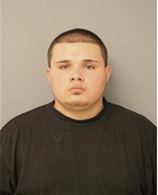 RAMON V ALONZO, Cook County, Illinois