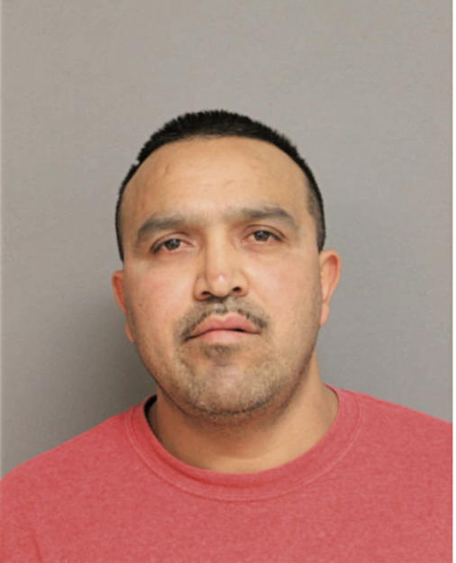 RAMIRO TOLEDO AMBRIZ, Cook County, Illinois