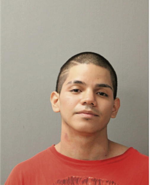 VINCENTE AVILA, Cook County, Illinois