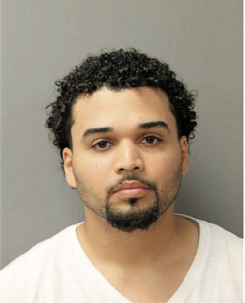 CARLOS M CUSTODIO, Cook County, Illinois