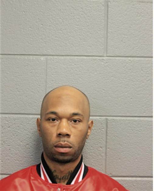 MICHAEL G DAVIS, Cook County, Illinois