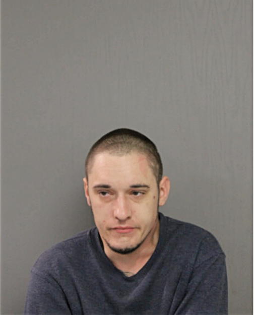 JACOB P DEMATTEO, Cook County, Illinois