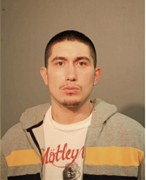 DAVID D DIAZ, Cook County, Illinois