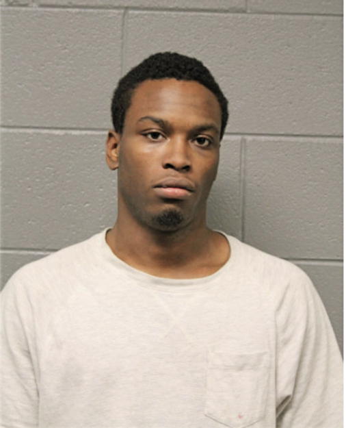 JAMES K FLANNIGAN, Cook County, Illinois
