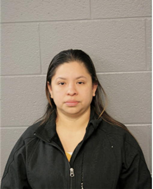ELIZABETH FLORES, Cook County, Illinois