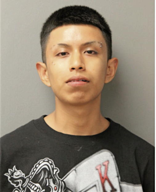 CHRISTOPHER GARDUNO, Cook County, Illinois