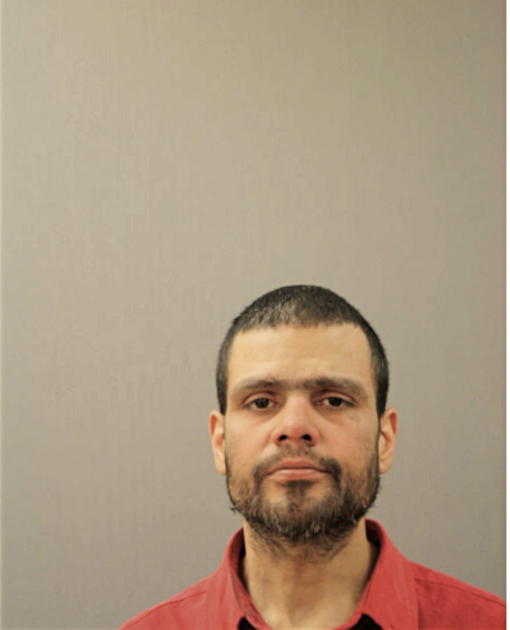 JAVIER GONZALEZ, Cook County, Illinois