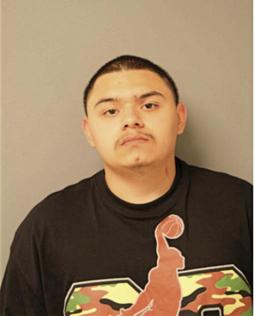 JORGE GUILLEN, Cook County, Illinois