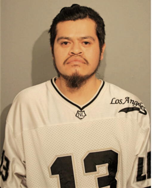 PEDRO IBARRA, Cook County, Illinois