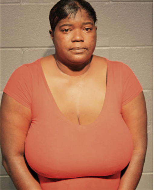 LASHAWN D JAMMERSON, Cook County, Illinois
