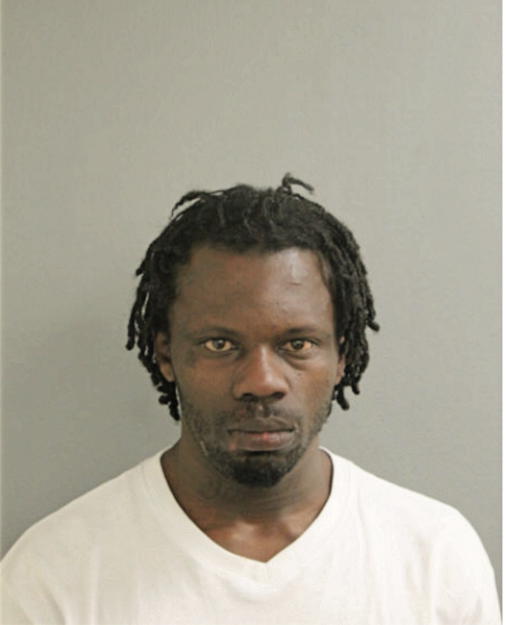 LOUIS J JOHNSON, Cook County, Illinois