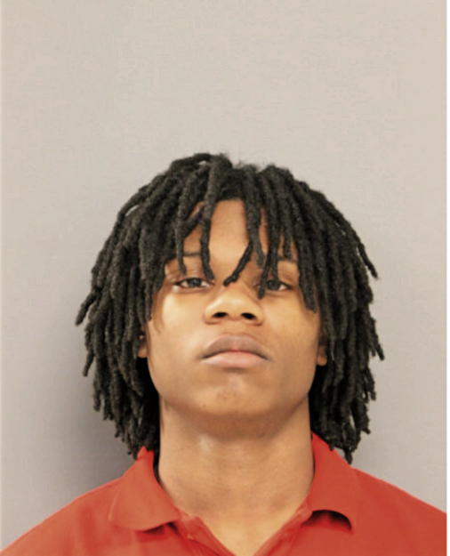 VASHON JOHNSON, Cook County, Illinois