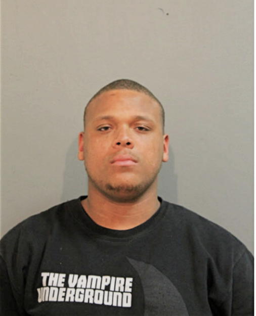 DARYL S MCELRATH, Cook County, Illinois