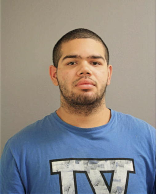 JUSTIN D MENDOZA, Cook County, Illinois