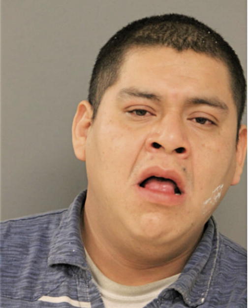 AGUSTIN A NUNEZ, Cook County, Illinois