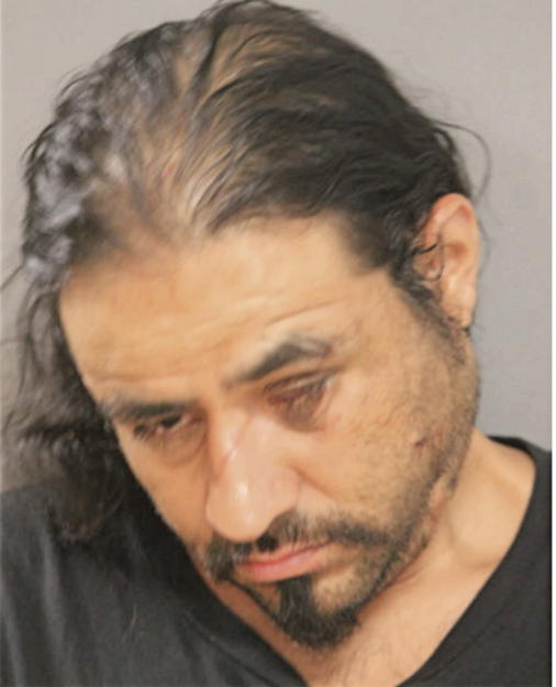 MARTIN R OLBERA, Cook County, Illinois