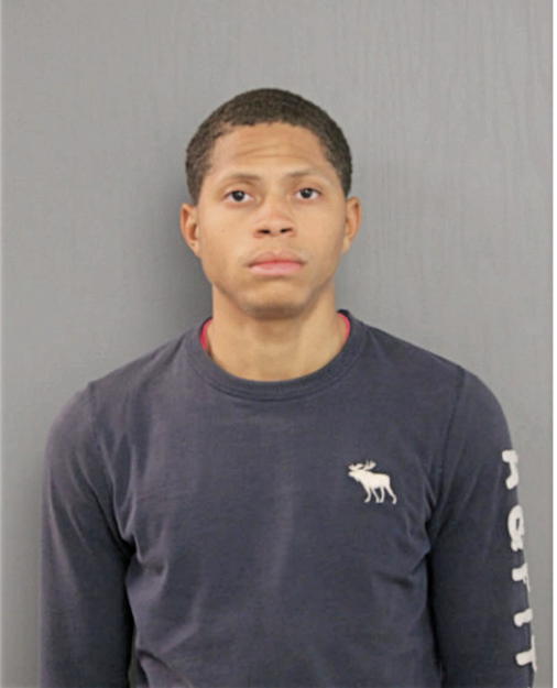 TALANEY T PLOWDEN, Cook County, Illinois