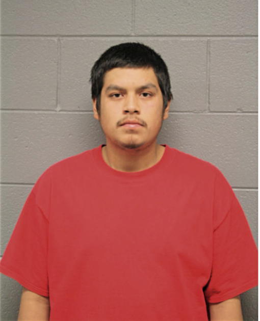 DAVID RODRIGUEZ, Cook County, Illinois