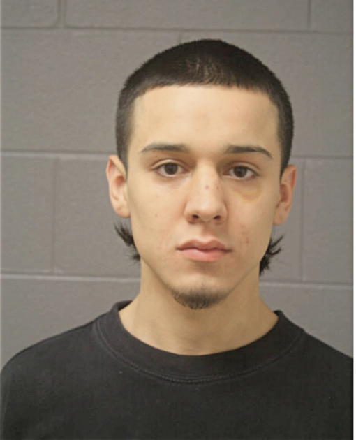 CRISTIAN TORRES, Cook County, Illinois