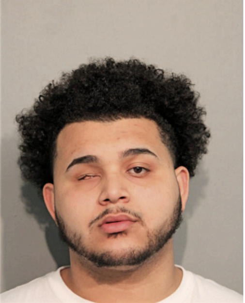 VICTOR W TORRES, Cook County, Illinois
