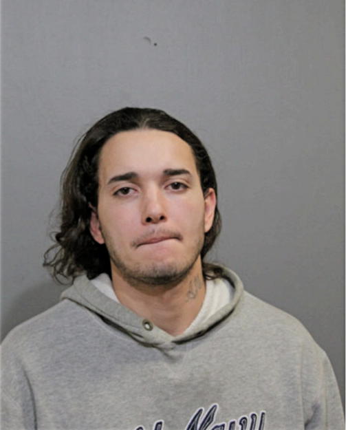 NELSON L VASQUEZ, Cook County, Illinois