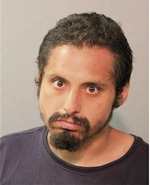 FRANCISCO VEGA, Cook County, Illinois