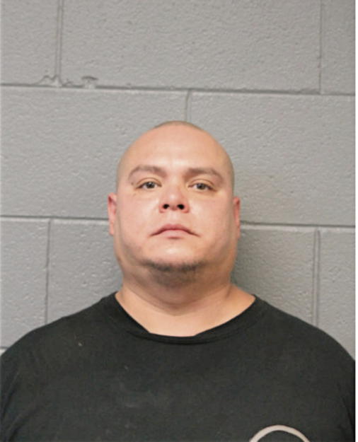 JOHN A ADAMES, Cook County, Illinois
