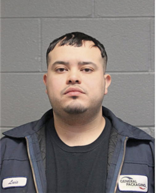 LUIS A ALVAREZ, Cook County, Illinois
