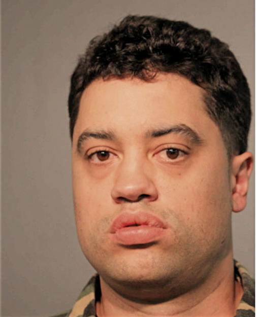 AUSTIN G BAUMANN, Cook County, Illinois