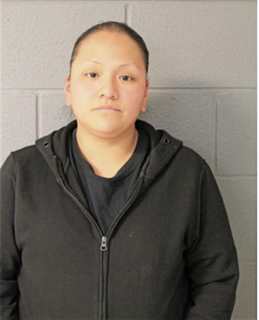 GUILLERMINA FLORES, Cook County, Illinois