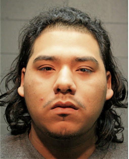 VICTOR M FONSECA, Cook County, Illinois