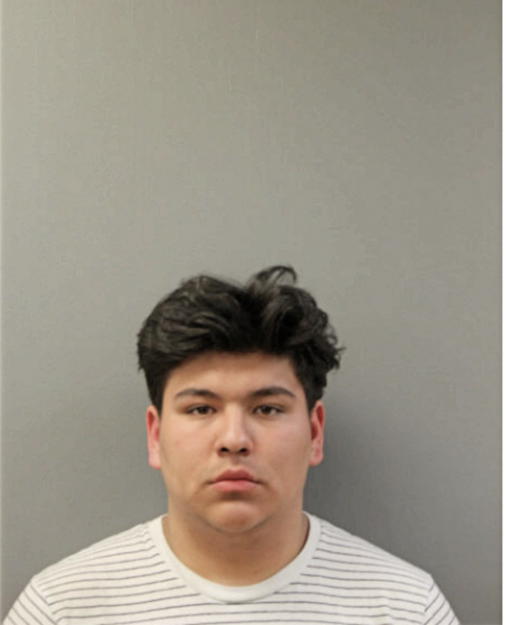 ISRAEL GARFIAS, Cook County, Illinois