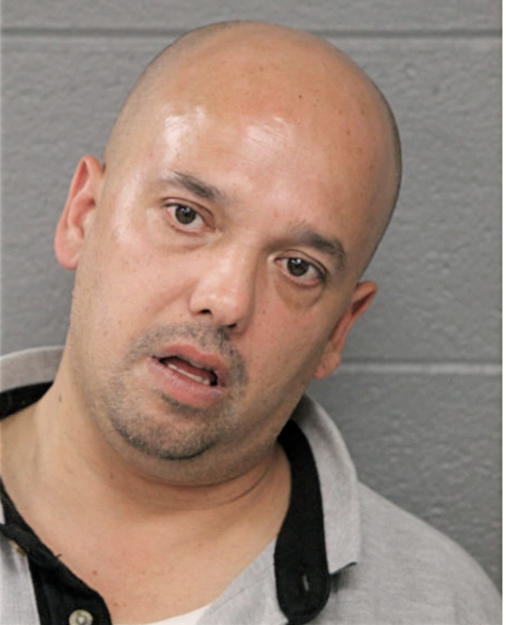 TRACEY L GARZA, Cook County, Illinois