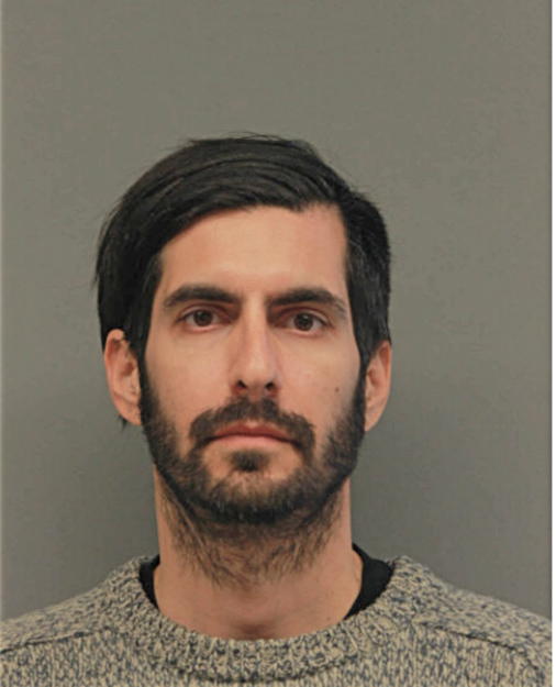 ALEXANDER N GOLDENBERG, Cook County, Illinois