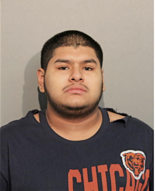 MARCO A GUZMAN, Cook County, Illinois