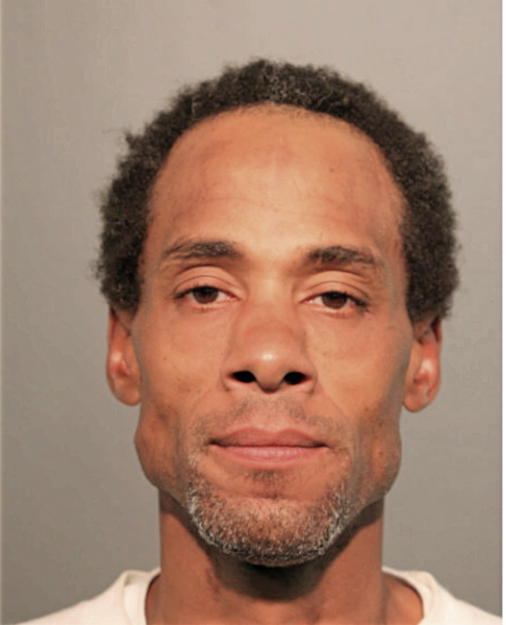 MICHAEL A JOHNSON, Cook County, Illinois