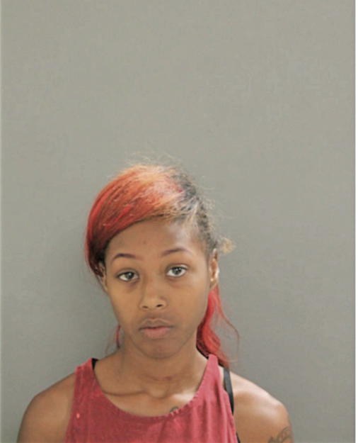 DANIELLE J LAUDERDALE, Cook County, Illinois