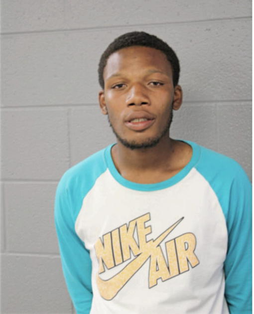 MICHAEL S LEWIS, Cook County, Illinois