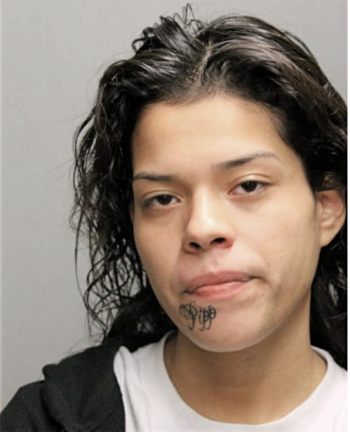 KATYA LICEA, Cook County, Illinois