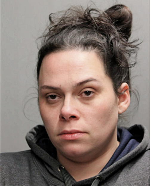 RAVEN T LOWENTHAL, Cook County, Illinois