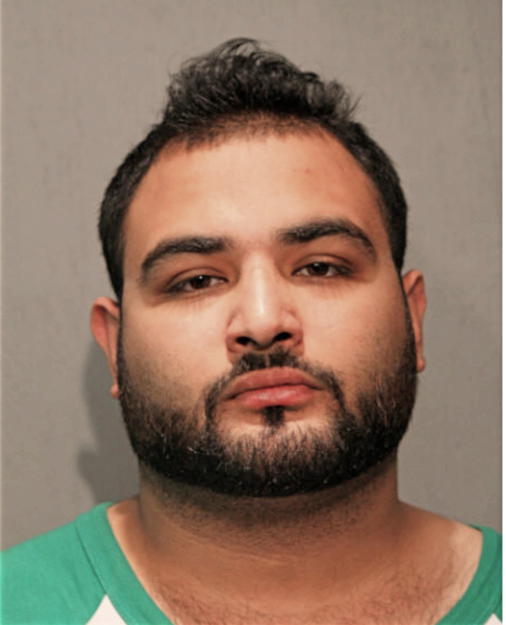 UMAR A MALIK, Cook County, Illinois