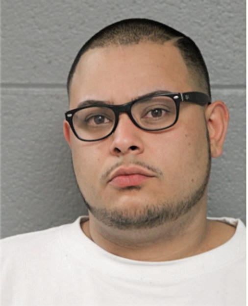 CHRISTOPHER M MEDINA, Cook County, Illinois