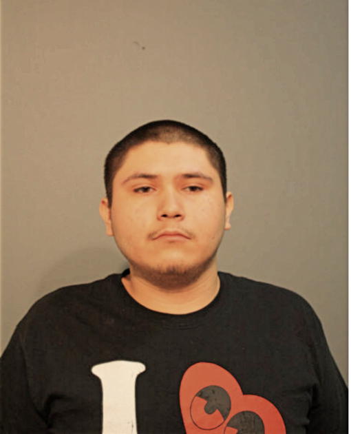 PETER J MEDRANO, Cook County, Illinois