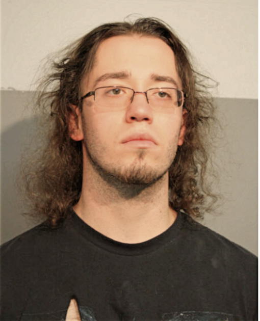 ALEXANDER IGORAVICH MIDLER, Cook County, Illinois
