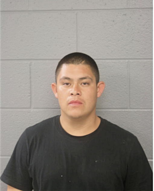 LUIS NAVARRETE, Cook County, Illinois